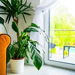 Hébergement de vacances Dom Na Bialych Brzoz Pod Krakowem Zabierzow