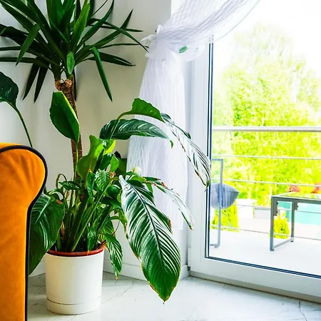 Feriehus Dom Na Bialych Brzoz Pod Krakowem Zabierzow